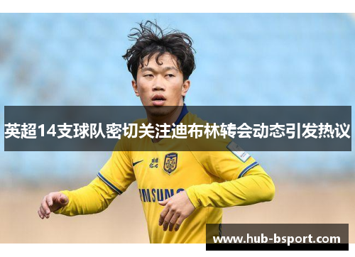 英超14支球队密切关注迪布林转会动态引发热议