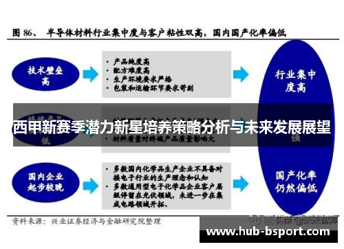 西甲新赛季潜力新星培养策略分析与未来发展展望